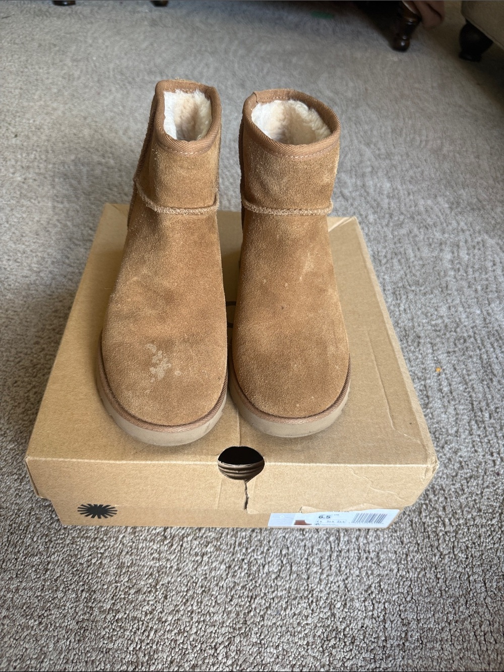UGG Kids Chestnut Suede classic femme mini wedge